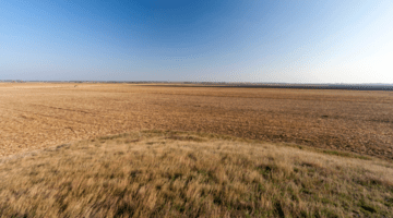 Wide shot of the Hungarian Great Plain