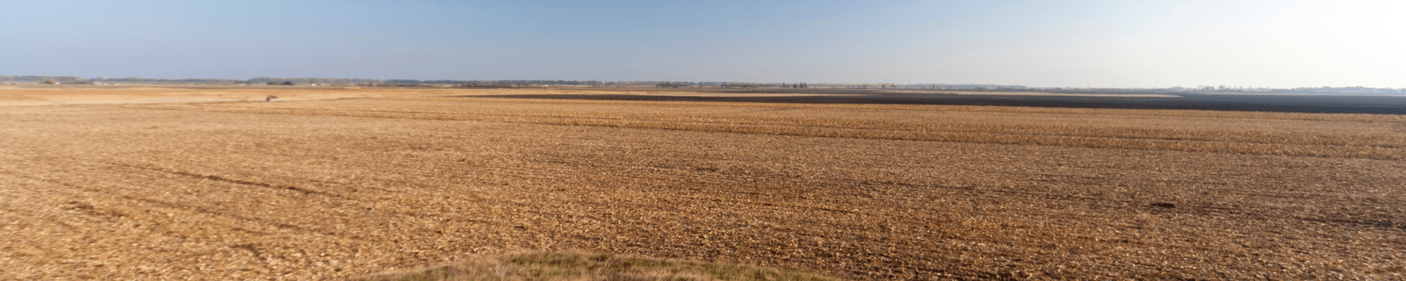 Wide shot of the Hungarian Great Plain