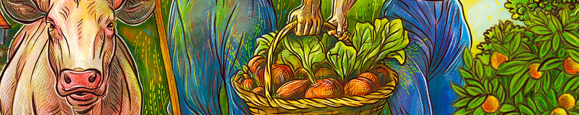 Farmers Survey