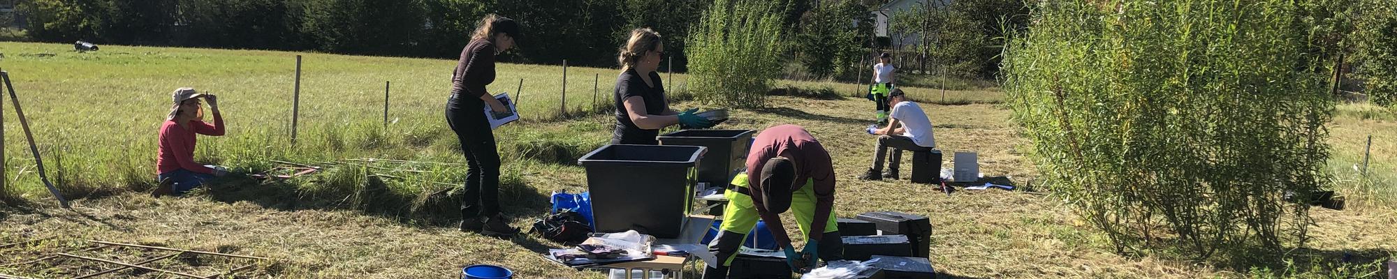 Soil field work