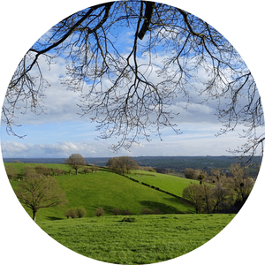 Grenzeloos Bocageland Logo