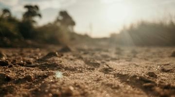 Brown soil under white sky during day time