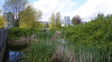 Cityscape with plants in the foreground