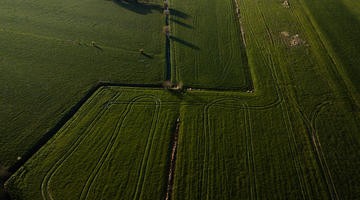 Patterned fields from above