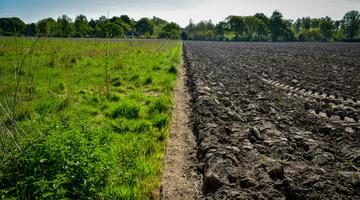 Soil landscape