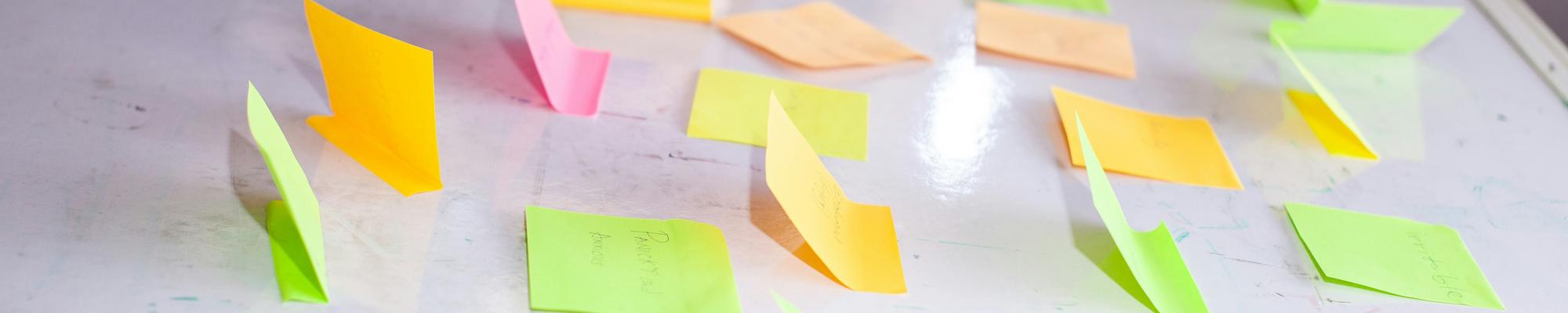 Participatory workshop