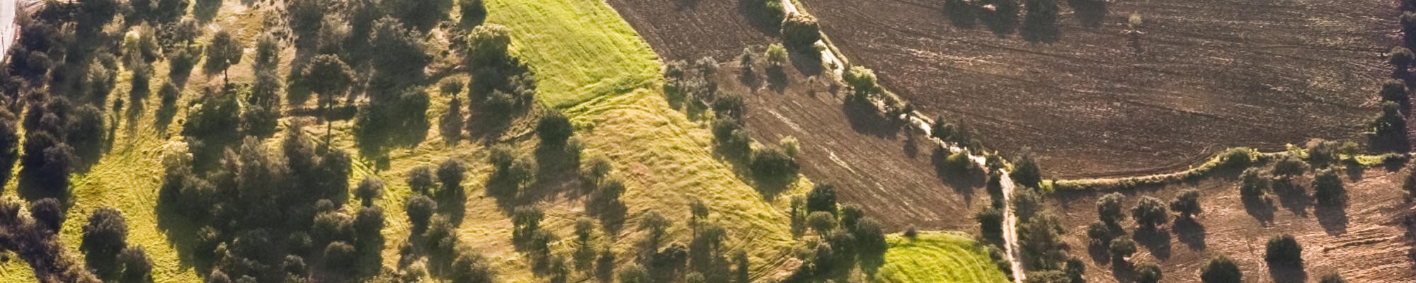 farmland 