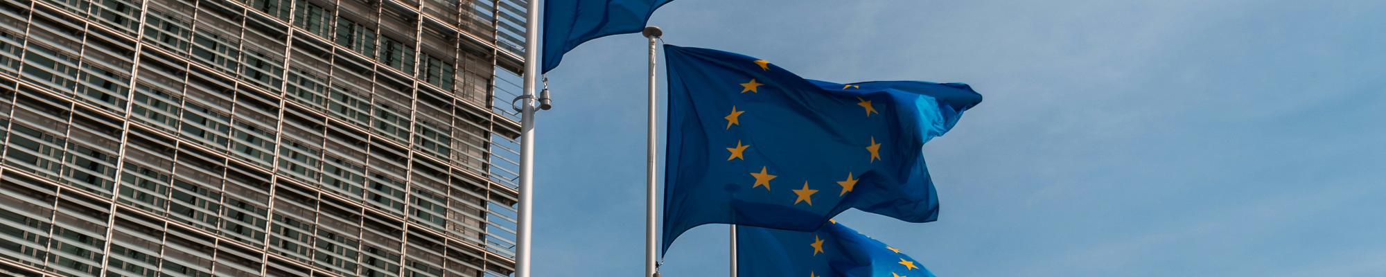 EU Flag Brussels 