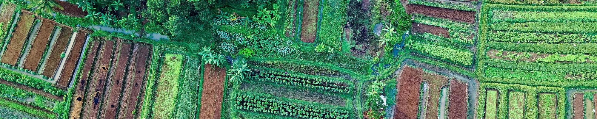 Soil Parcels