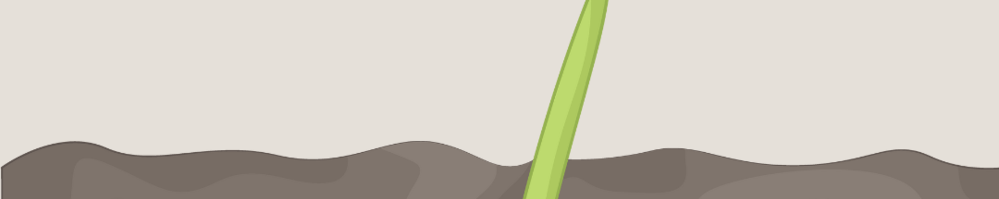 A small seed planted in the soil beginning to sprout and grow roots (drawing)