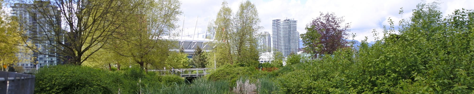 Cityscape with plants in the foreground