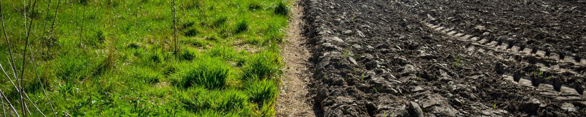 Soil landscape