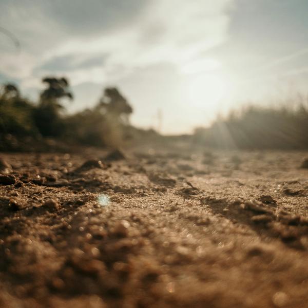 Brown soil under white sky during day time